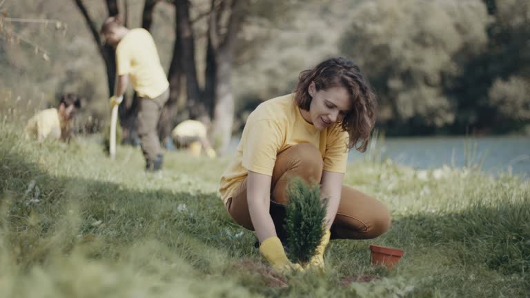 Best Tree Preservation Services  in Swedesboro, NJ